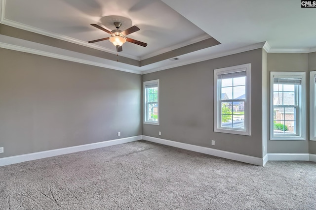 carpeted spare room with a tray ceiling, ceiling fan, and ornamental molding