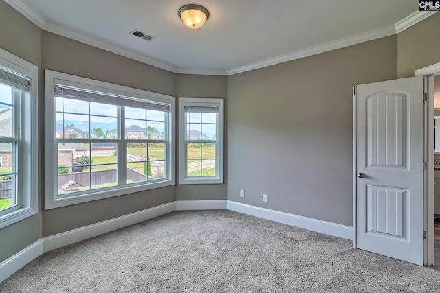 spare room with carpet flooring and crown molding