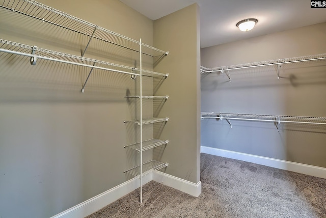 walk in closet with carpet