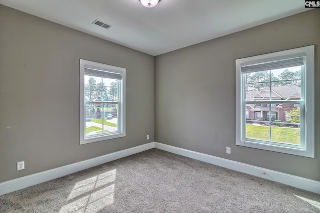 carpeted spare room with a wealth of natural light