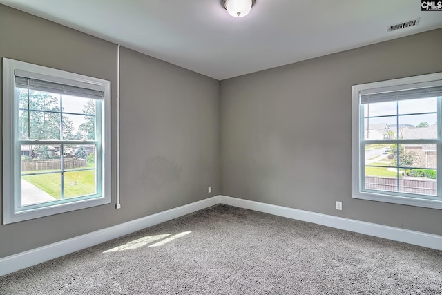 carpeted spare room with plenty of natural light