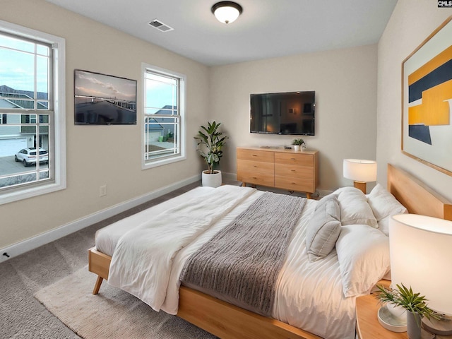 carpeted bedroom with multiple windows