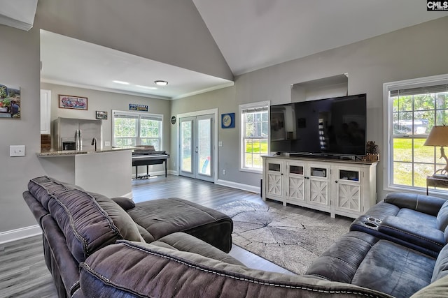 living room featuring hardwood / wood-style floors, high vaulted ceiling, and french doors