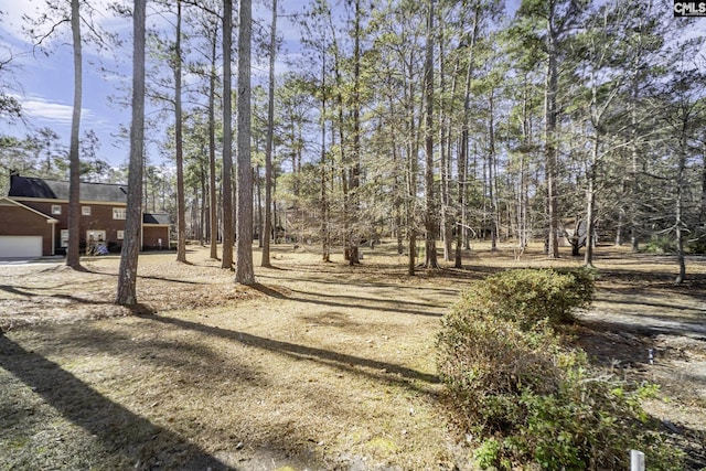 view of yard with a garage