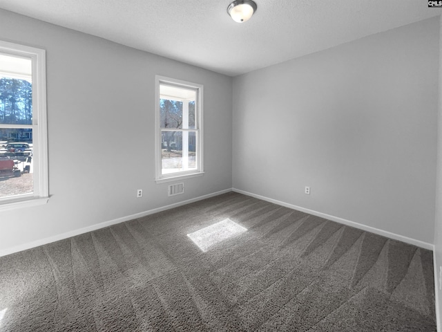 spare room with carpet flooring, plenty of natural light, and a textured ceiling