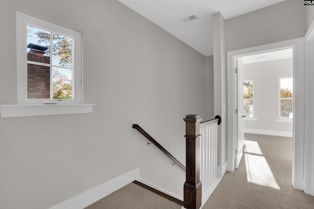 stairs with carpet flooring and plenty of natural light