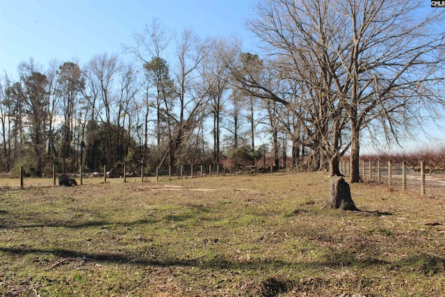 view of yard featuring a rural view