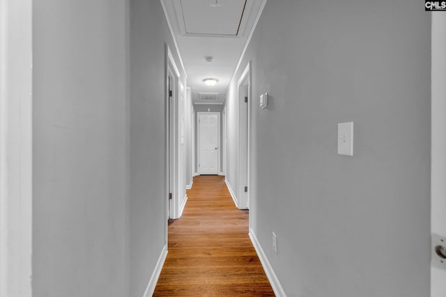 hall featuring light hardwood / wood-style floors