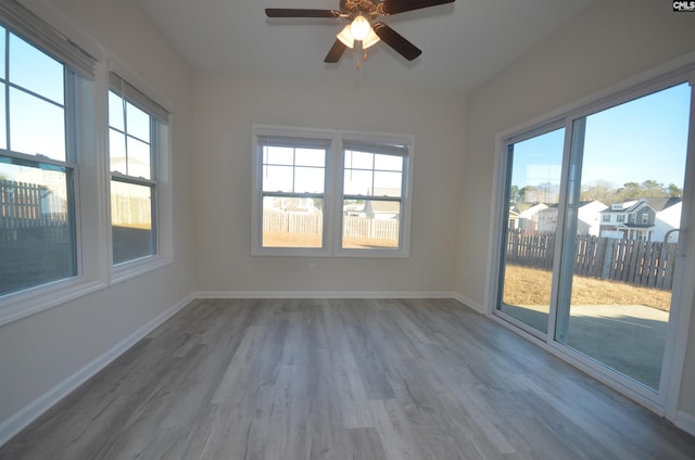 unfurnished room featuring a healthy amount of sunlight, ceiling fan, and wood-type flooring