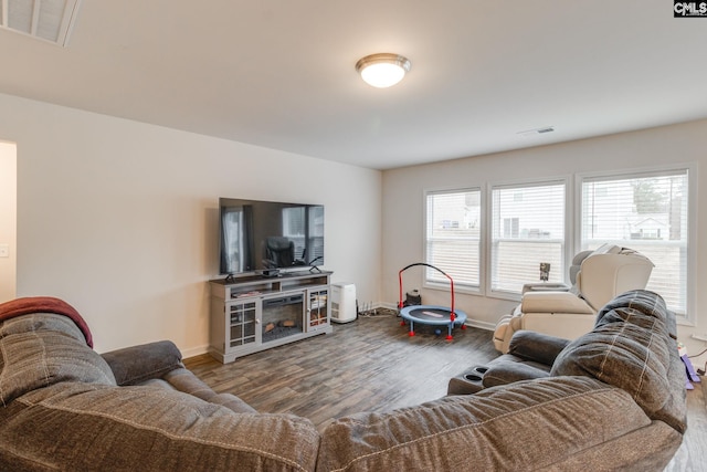 living room featuring hardwood / wood-style flooring