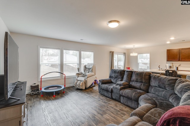 living room featuring dark hardwood / wood-style flooring