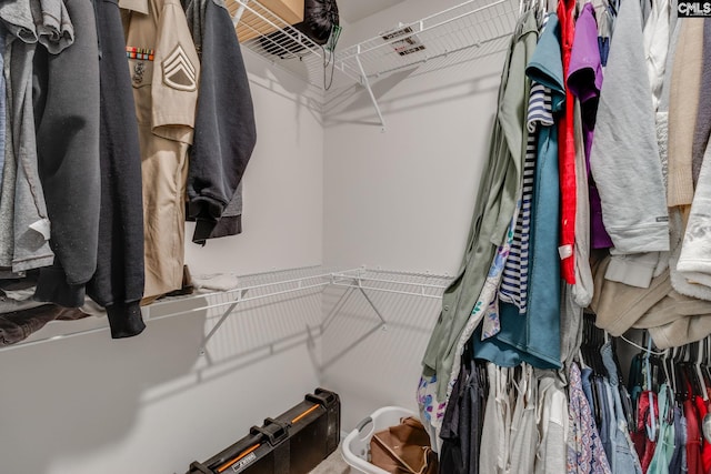 view of spacious closet