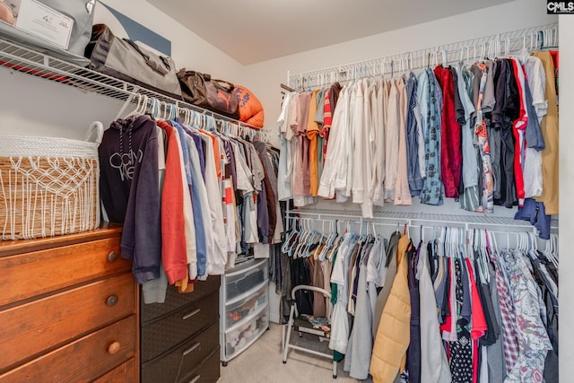 spacious closet featuring light carpet