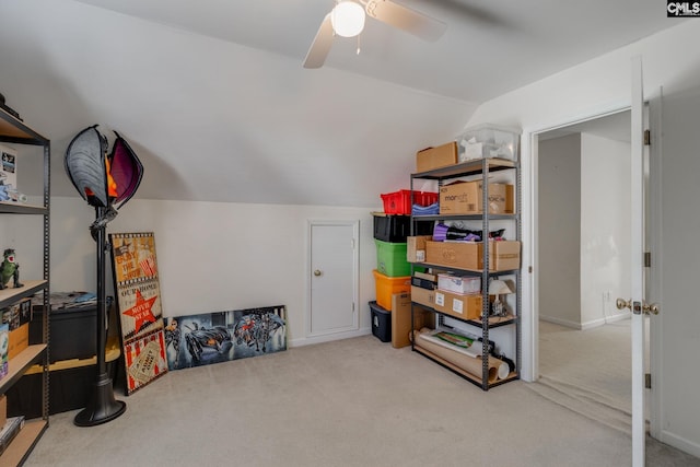 storage with ceiling fan