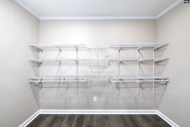 walk in closet with dark wood-type flooring