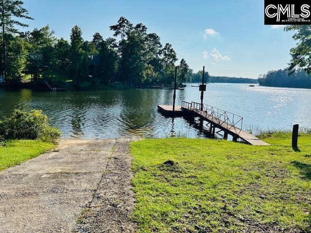 dock area with a water view