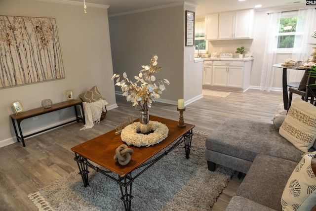 living room featuring crown molding and wood-type flooring