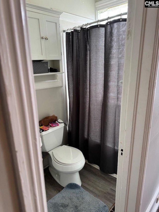 bathroom featuring hardwood / wood-style floors and toilet