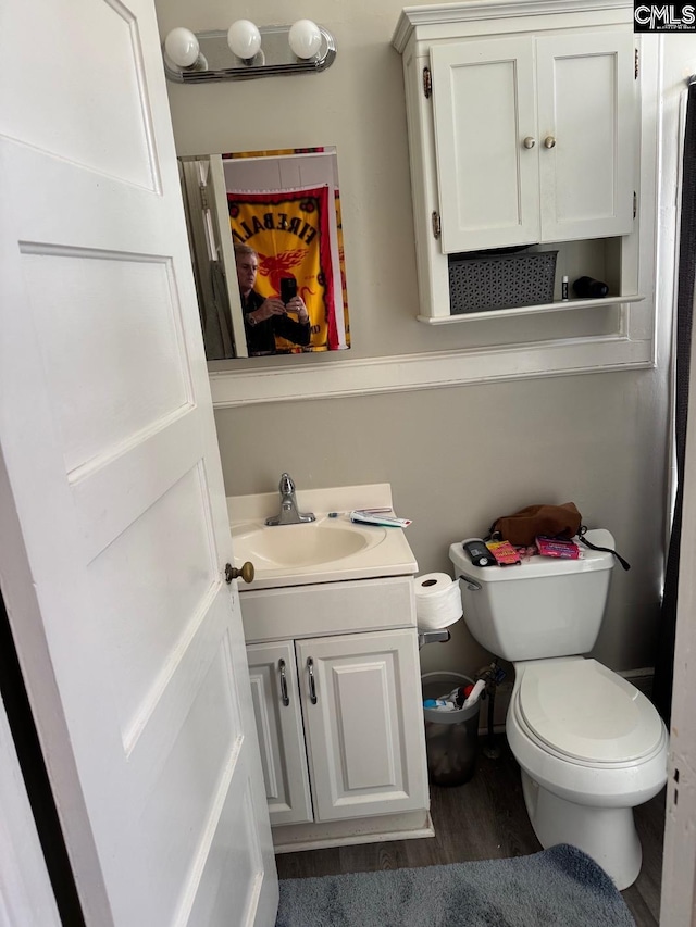 bathroom featuring vanity, toilet, and wood-type flooring