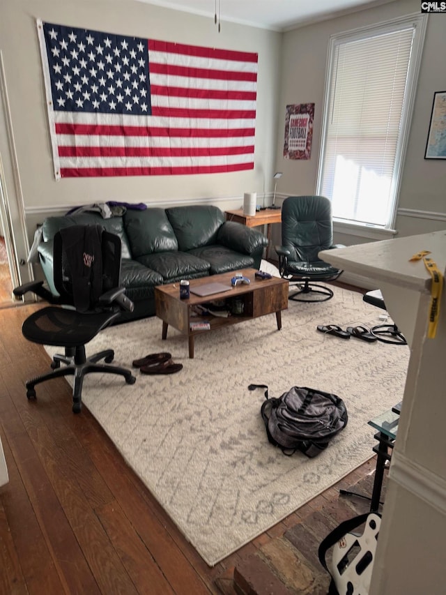 living room with dark hardwood / wood-style floors