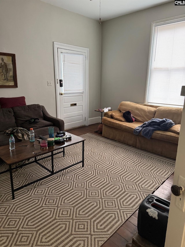 living room with hardwood / wood-style flooring