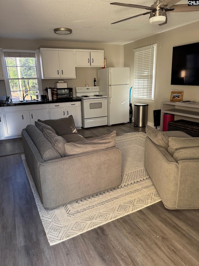 living room with ceiling fan, dark hardwood / wood-style flooring, a textured ceiling, and sink