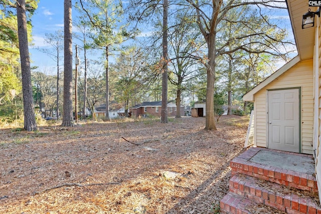 view of yard with a storage shed