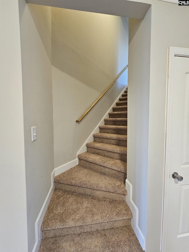 staircase with carpet floors