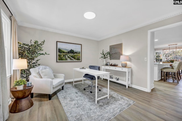 office with hardwood / wood-style floors and ornamental molding