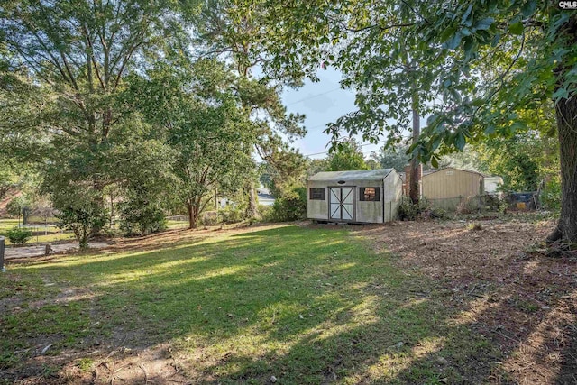 view of yard with a storage unit