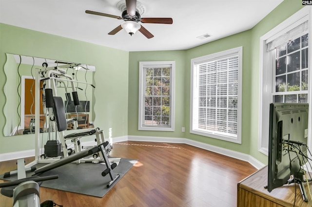 exercise room with dark hardwood / wood-style flooring and ceiling fan