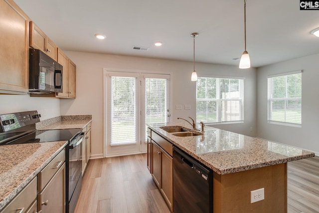 kitchen with sink, an island with sink, light hardwood / wood-style floors, decorative light fixtures, and black appliances