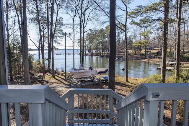 water view featuring a boat dock