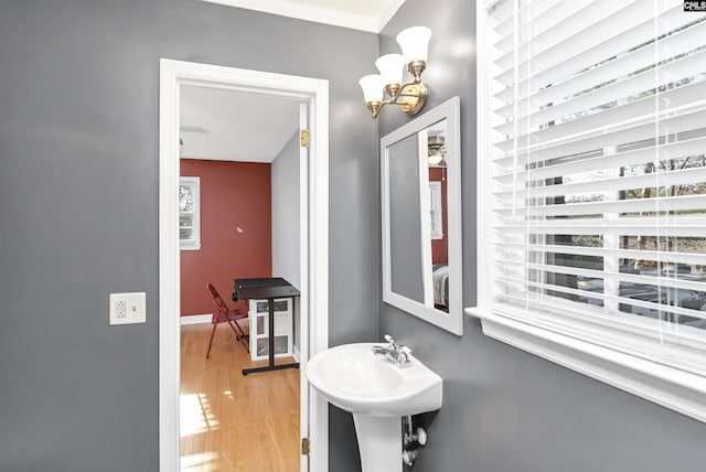 bathroom featuring sink and wood-type flooring