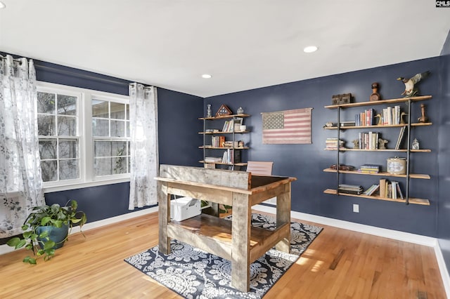 office featuring wood-type flooring