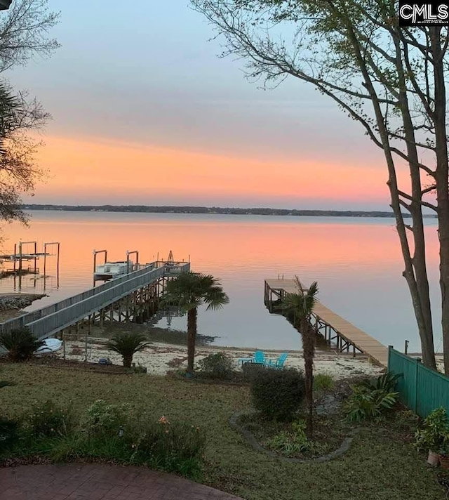 dock area with a water view