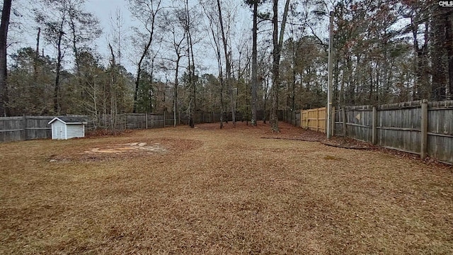 view of yard with a storage shed