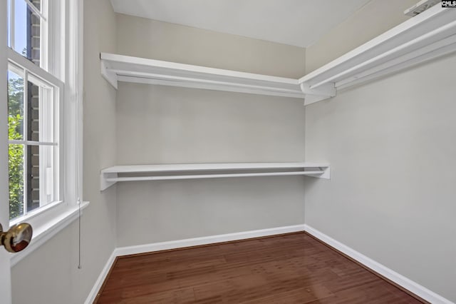 spacious closet with dark hardwood / wood-style floors