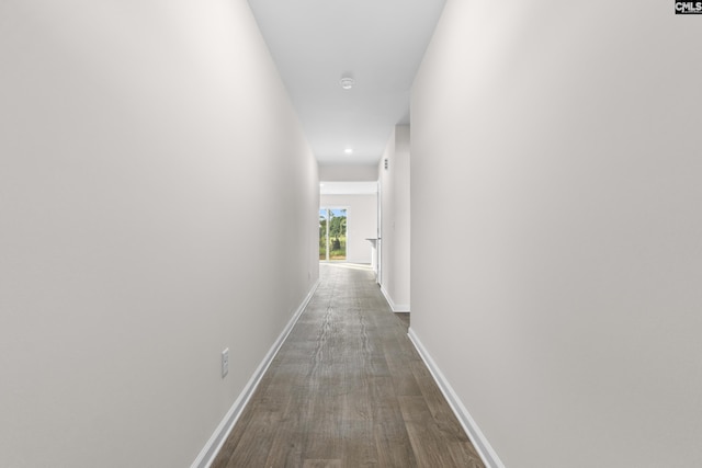 hall with hardwood / wood-style flooring