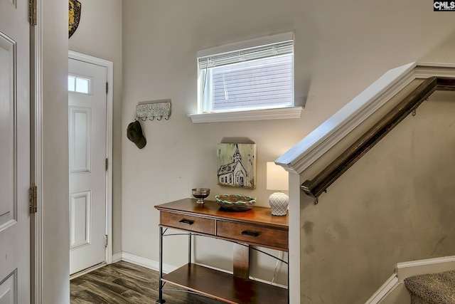 foyer entrance featuring dark hardwood / wood-style flooring