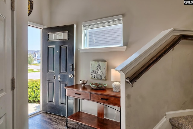 entrance foyer with dark hardwood / wood-style flooring and plenty of natural light