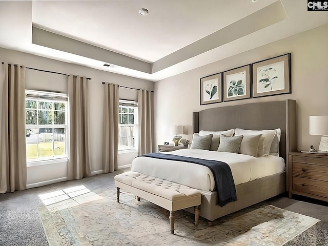 bedroom with a raised ceiling and carpet