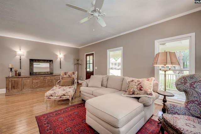 living room featuring light hardwood / wood-style flooring, ceiling fan, and crown molding