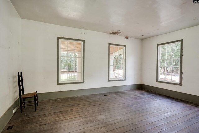 unfurnished room featuring plenty of natural light and dark wood-type flooring