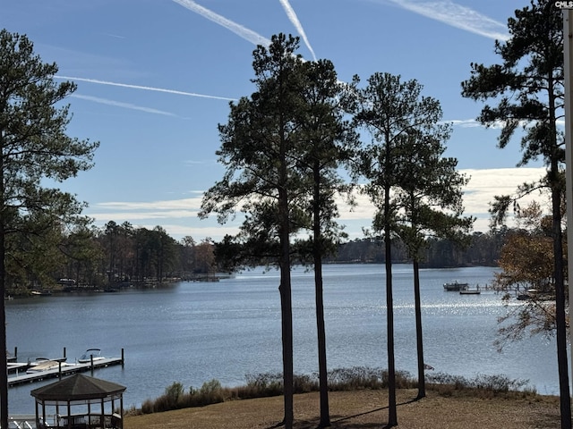 LOT203 Peninsula Dr Unit 203, Prosperity SC, 29127 land for sale