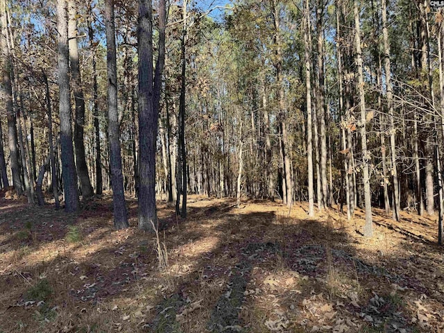 Listing photo 2 for LOT203 Peninsula Dr Unit 203, Prosperity SC 29127