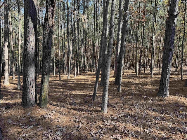 Listing photo 3 for LOT203 Peninsula Dr Unit 203, Prosperity SC 29127