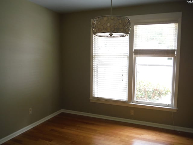 spare room featuring wood-type flooring