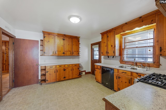 kitchen with dishwasher and sink