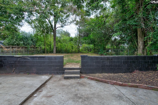 view of yard with a patio